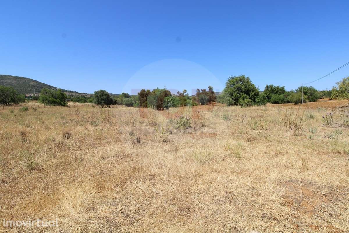 Terreno Rústico - Grande imagem: 4/28