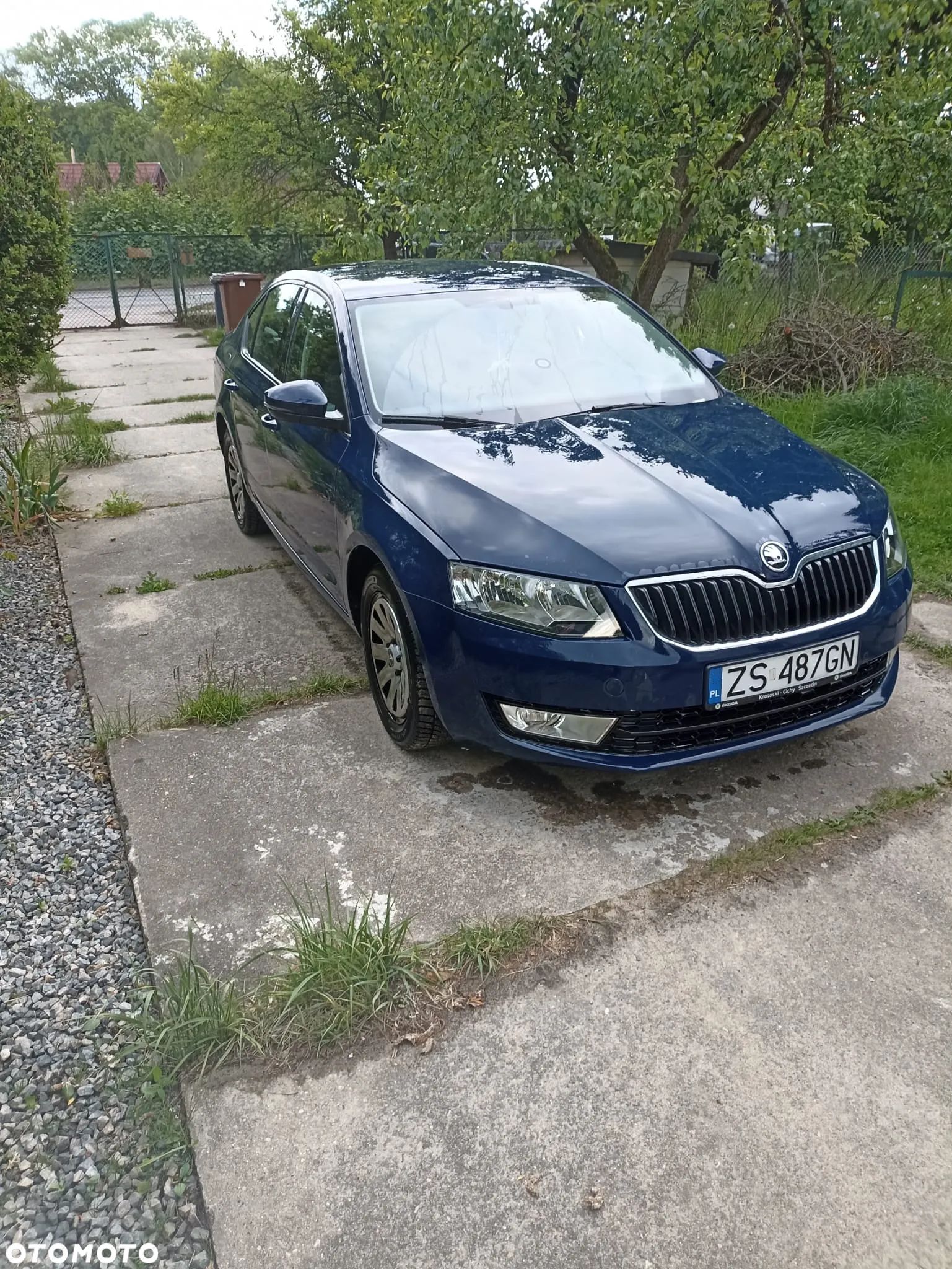 Skoda Octavia - 1