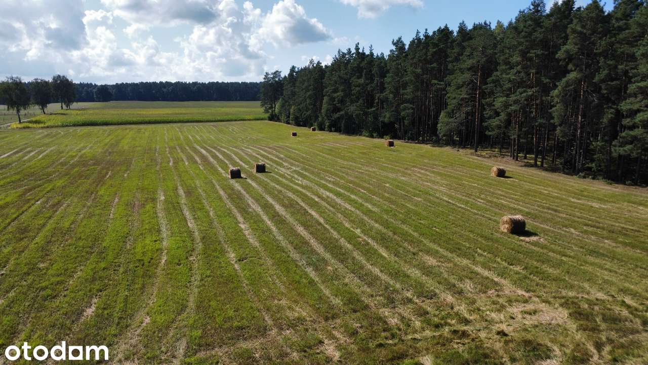 Nieruchomość inwestycyjna – dworek oraz 4,99 ha z możliwością podziału - Pełny obrazek: 2/8