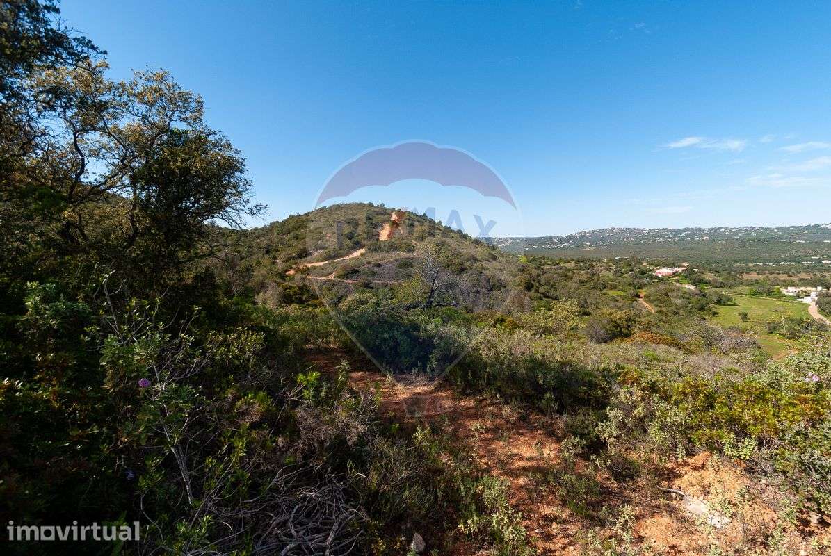 Terreno  para Venda - Grande imagem: 2/10