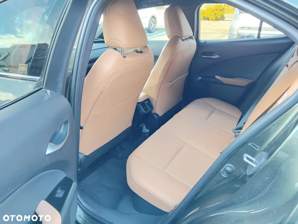 Lexus UX 250h GPF F Sport Design+ 2WD - 25