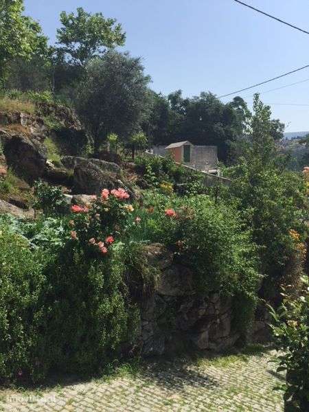 Terreno 700m² para construção e 5000m² Vilar de ferreiros mondim basto - Grande imagem: 3/4