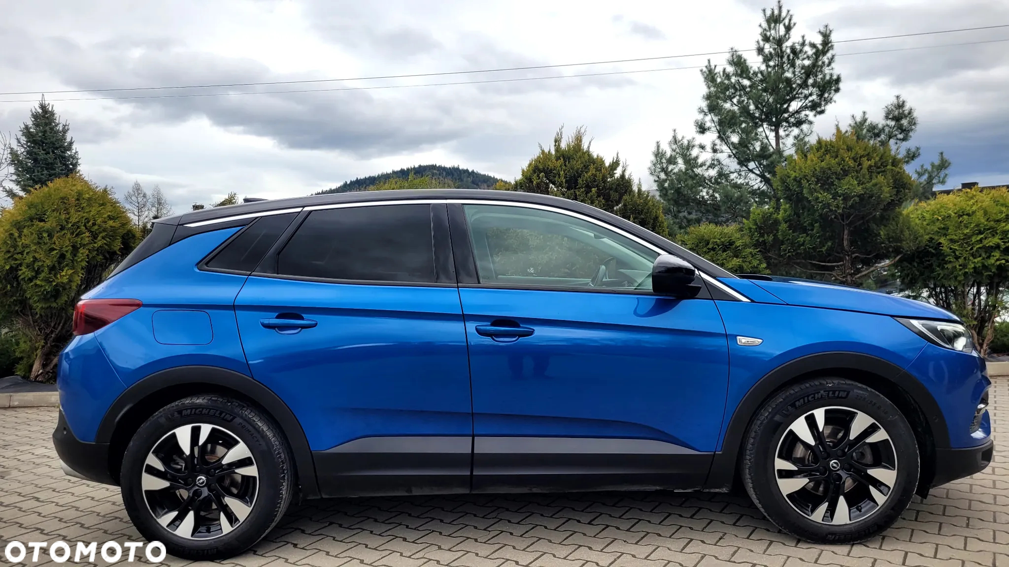 Opel Grandland X 1.6 T Ultimate S&S - 10