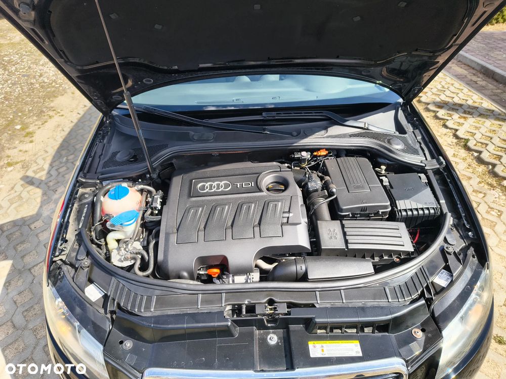 Audi A3 Sportback 1.6 TDI DPF Ambiente - 16