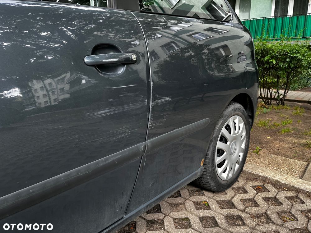 Seat Ibiza - 39