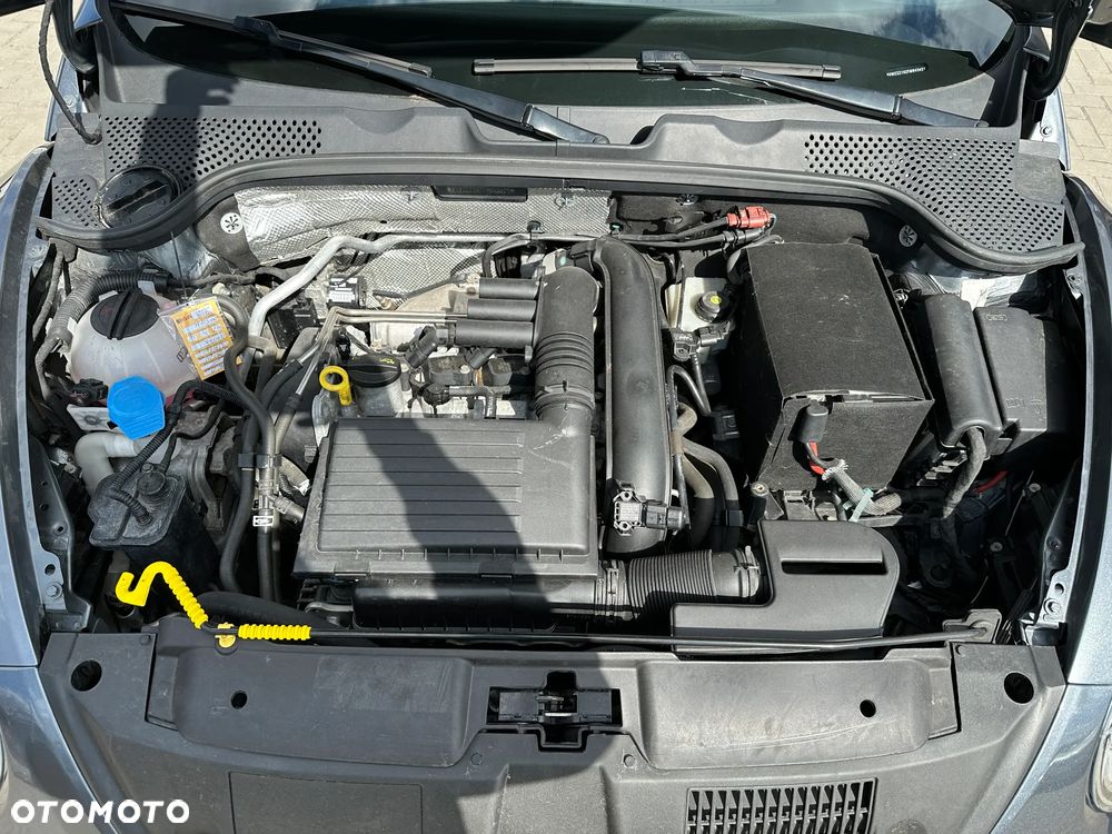 Volkswagen Beetle - 28