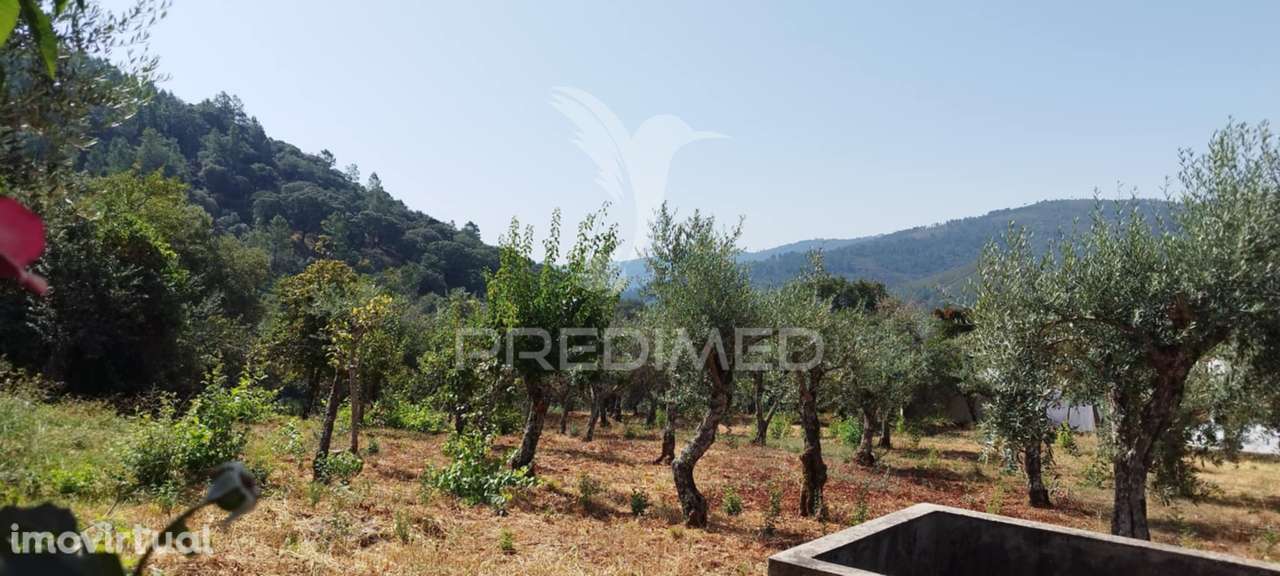 Quintinha em S Julião - Grande imagem: 4/16