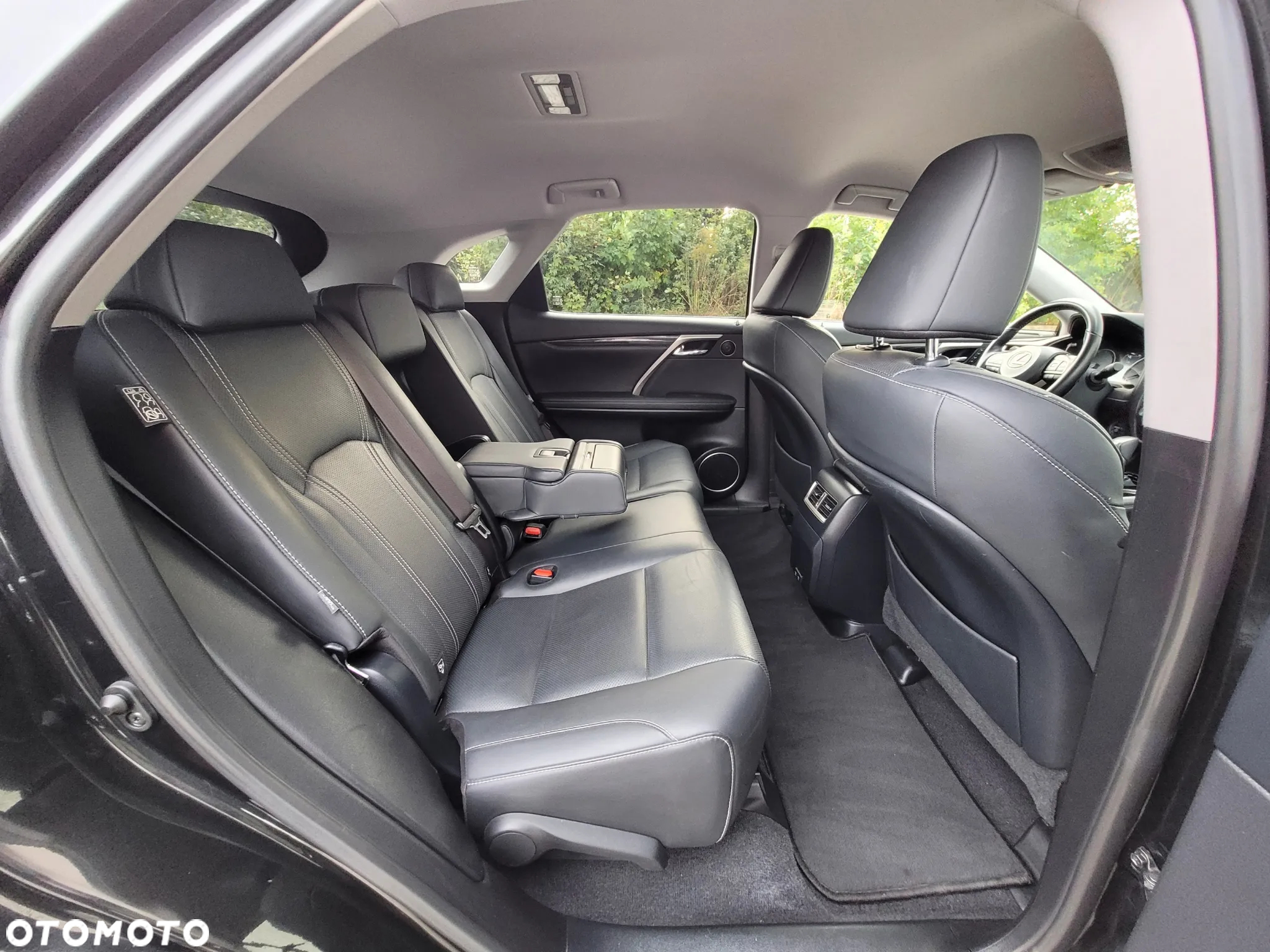 Lexus RX 450h F-Impression - 16
