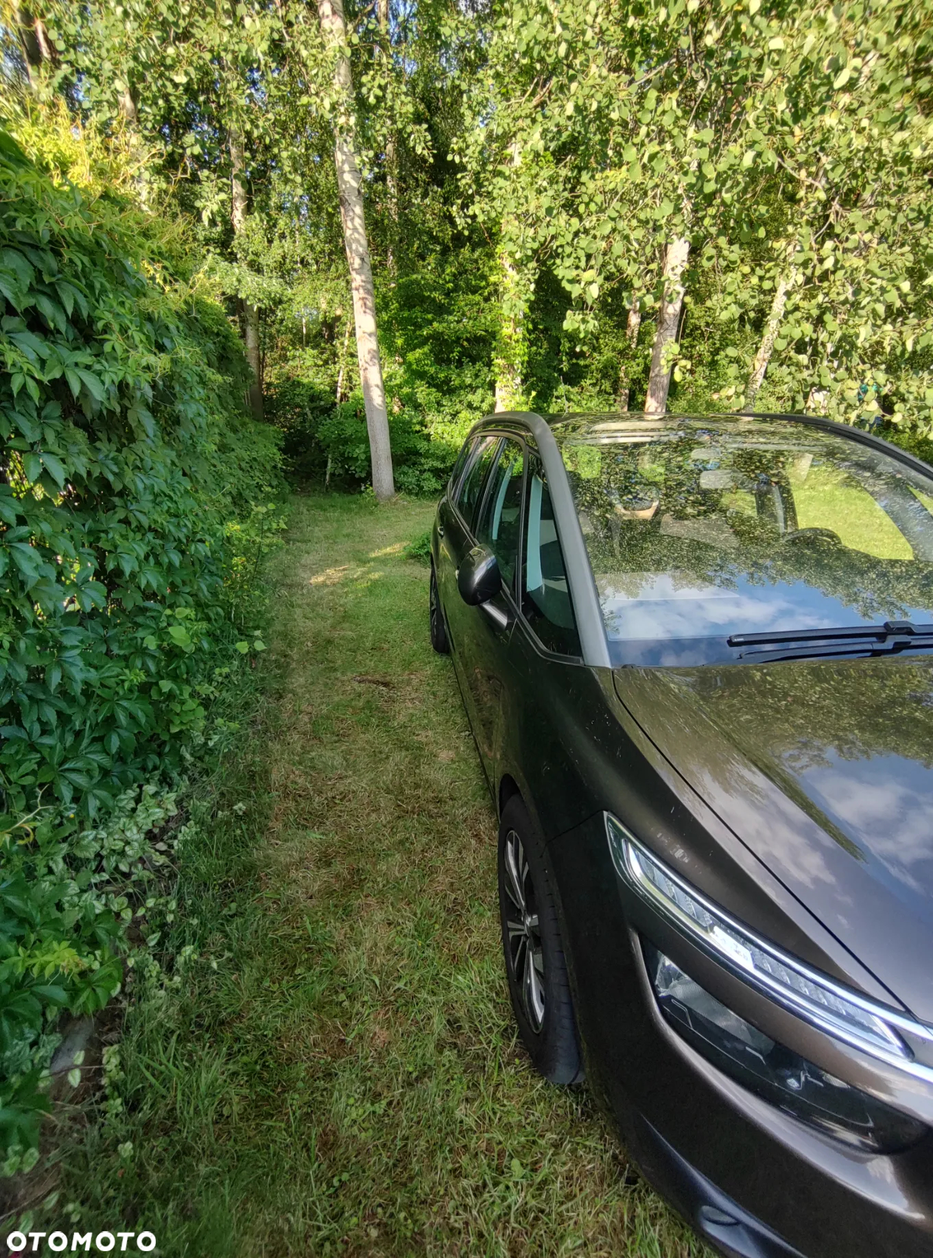 Citroën C4 Grand Picasso 1.6 e-HDi Intensive - 35