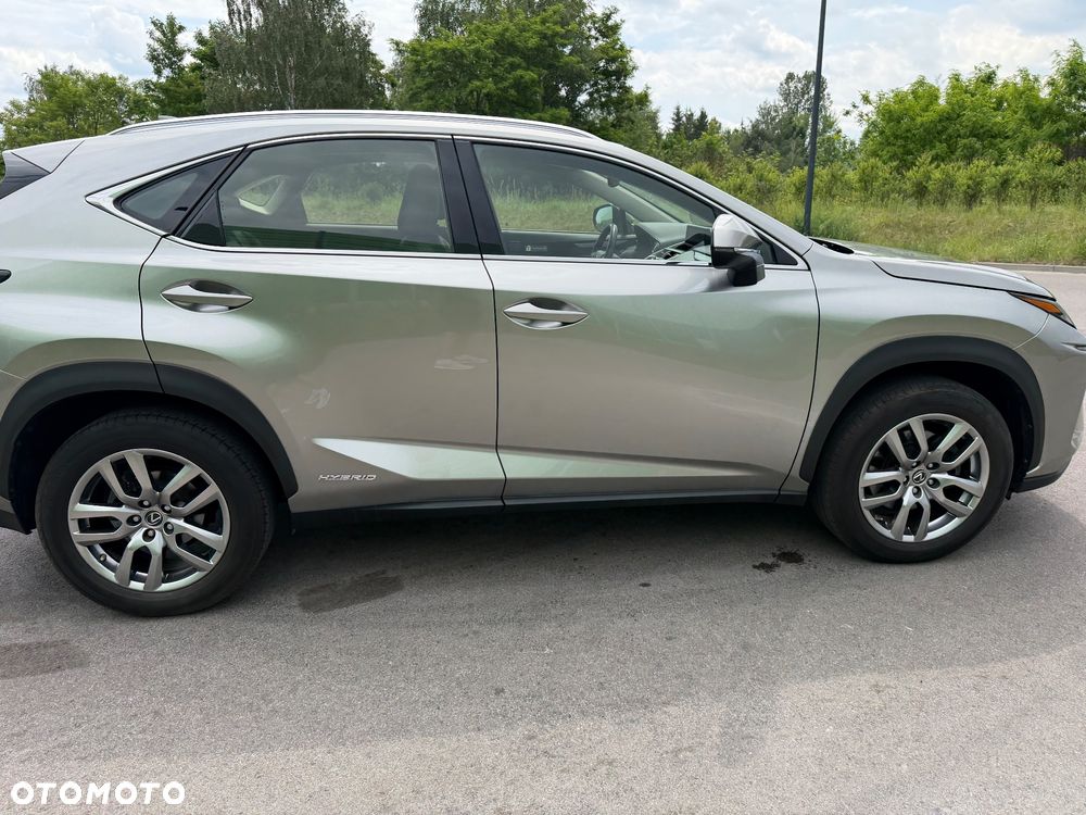 Lexus NX - 10
