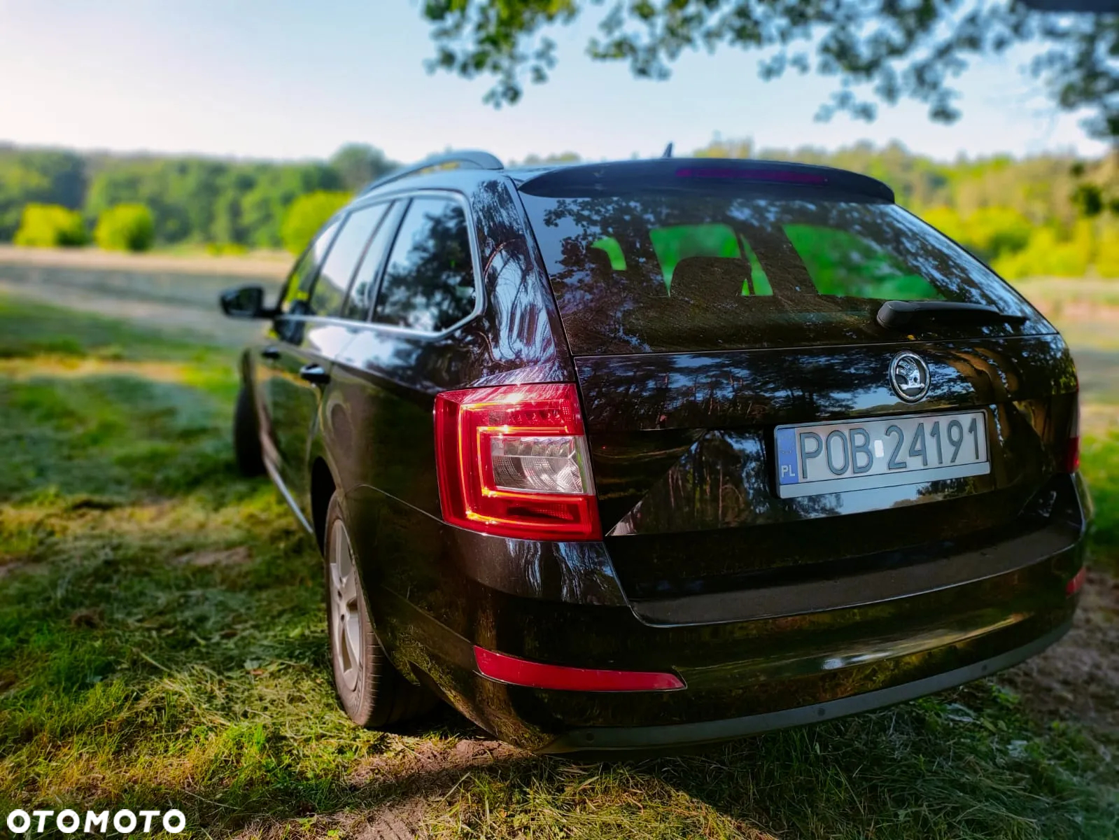 Skoda Octavia 1.6 TDI Ambition DSG - 7
