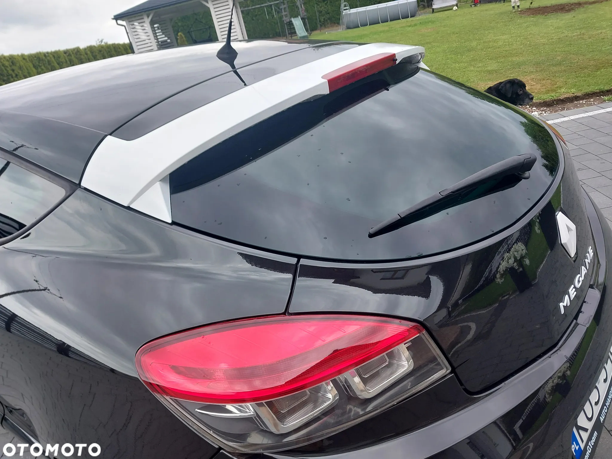 Renault Megane 2.0 16V TCE Dynamique - 14