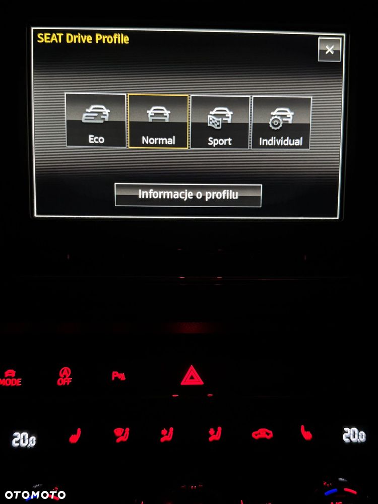 Seat Leon - 17