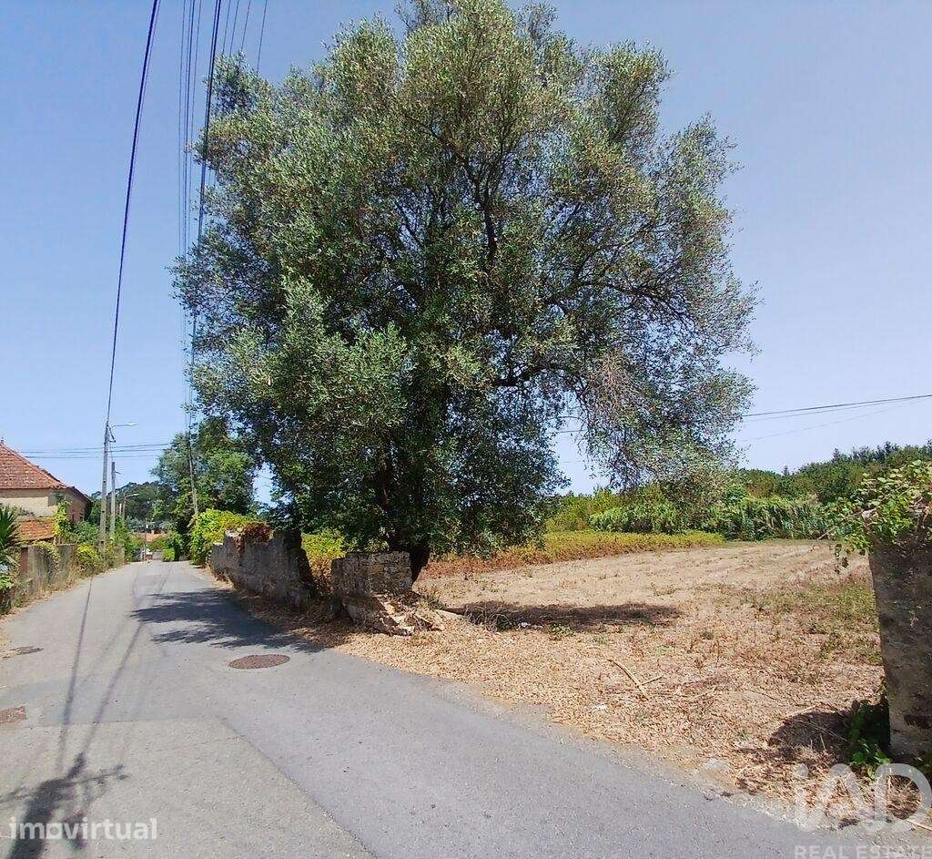 Terreno em Ouca - Grande imagem: 3/4