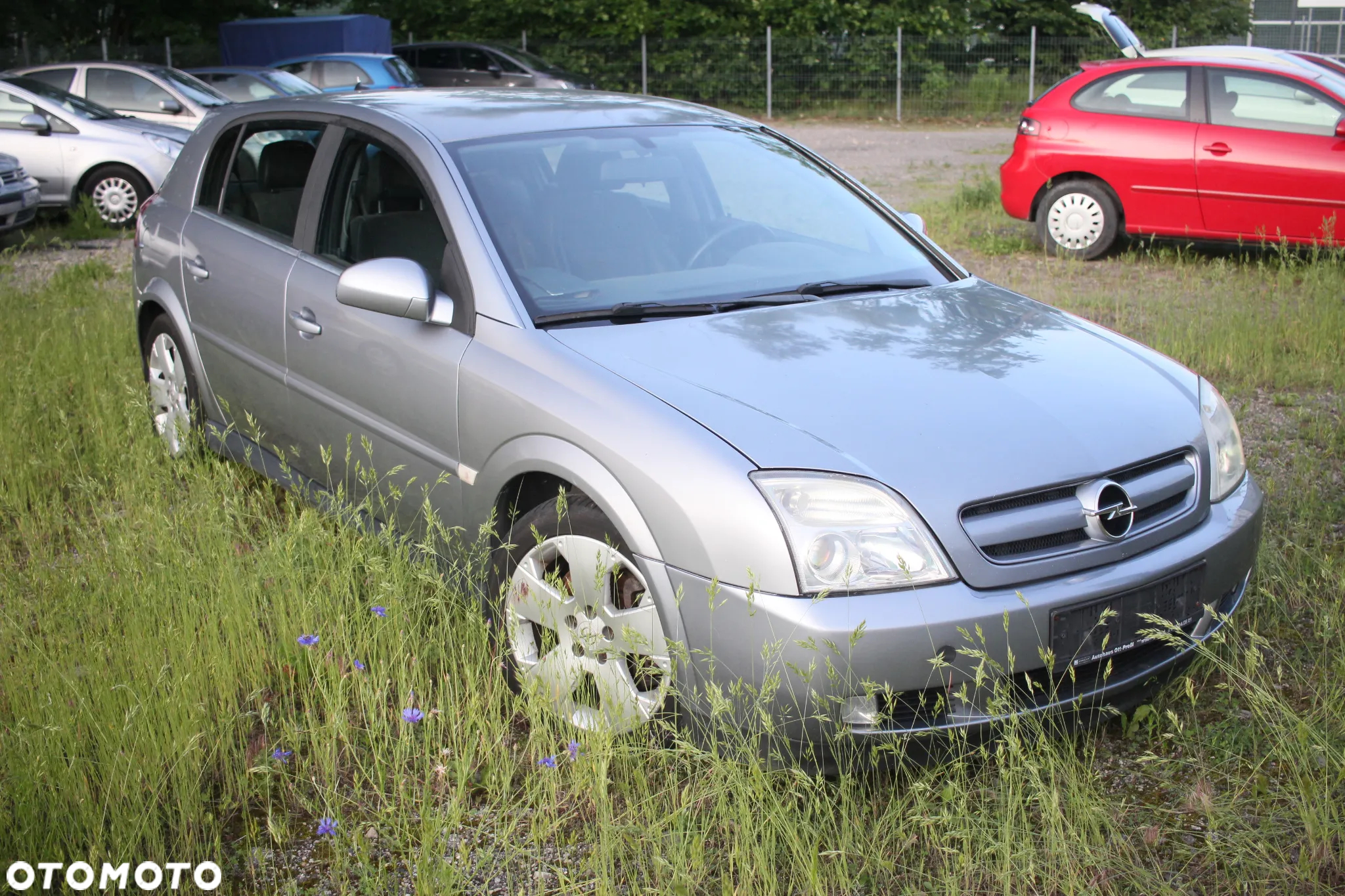 Opel Signum - 7