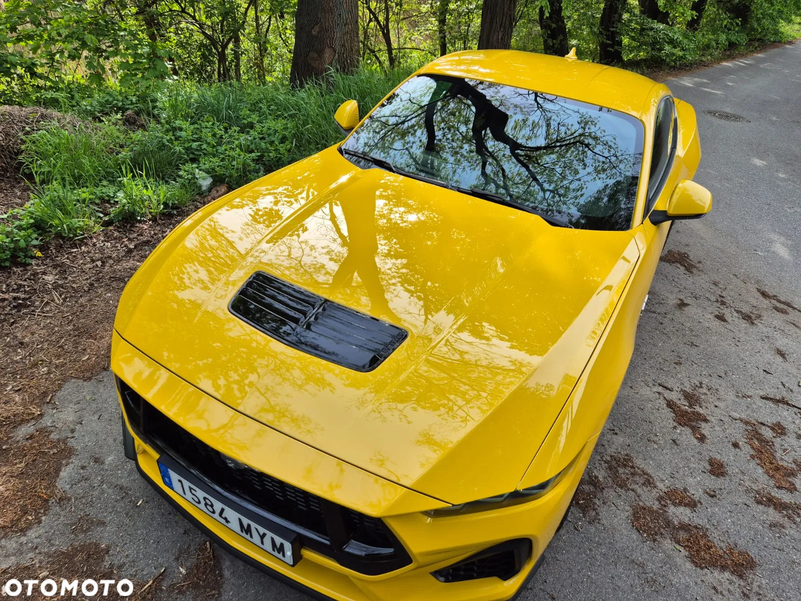 Ford Mustang Fastback 5.0 Ti-VCT V8 GT - 3