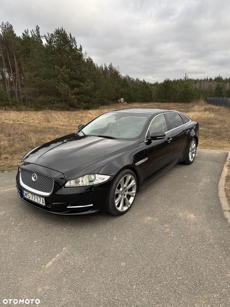 Jaguar XJ 3.0 D V6 LWB Premium Luxury - 2