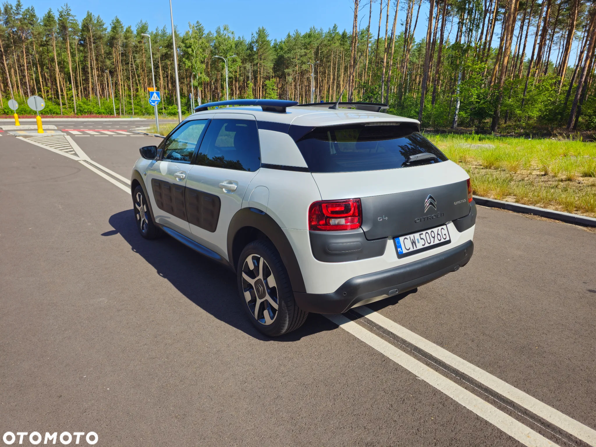 Citroën C4 Cactus 1.6 BlueHDi Shine - 15