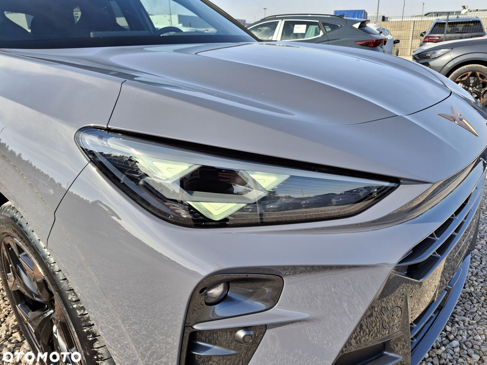 Cupra Terramar - 7