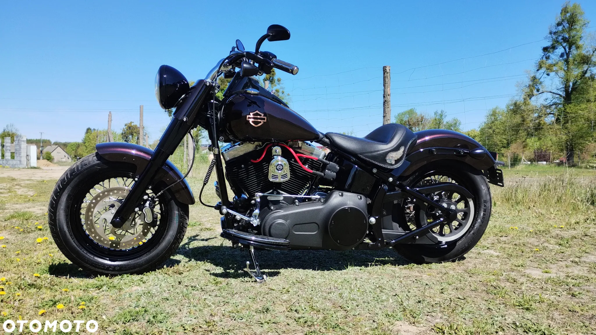 Harley-Davidson Softail Slim - 12