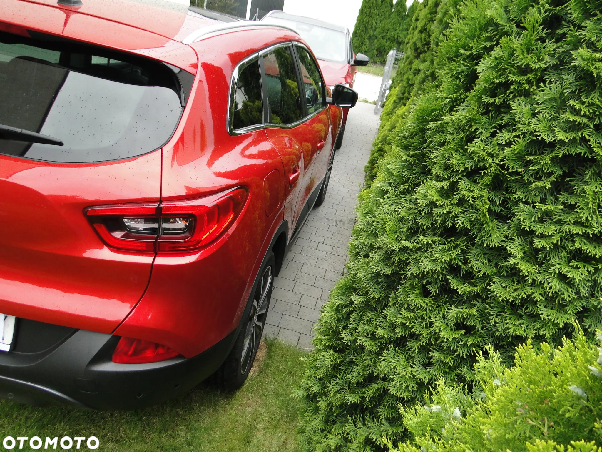 Renault Kadjar 1.6 dCi Energy Intens - 12