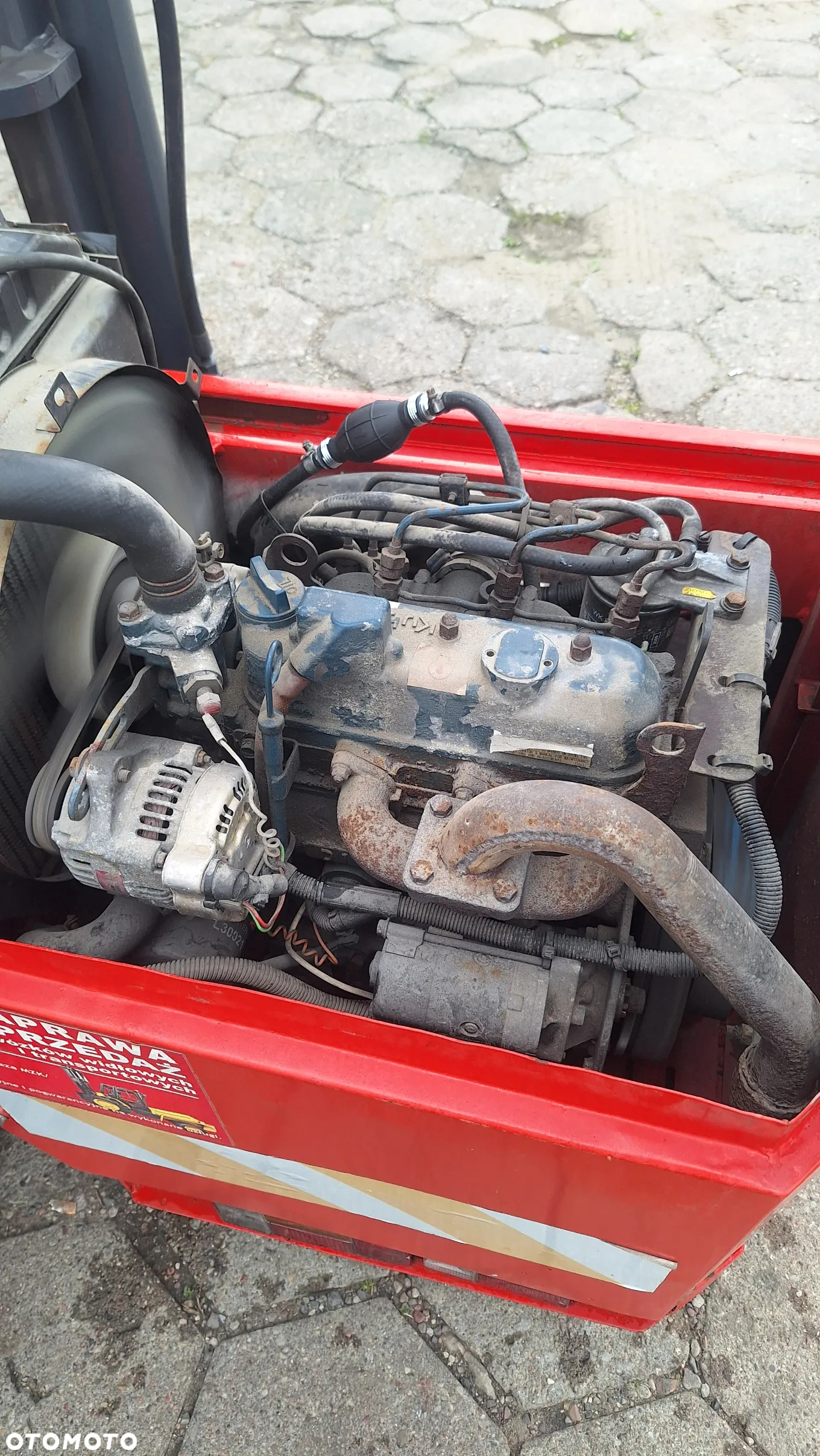 Moffett Kooi aap - 8