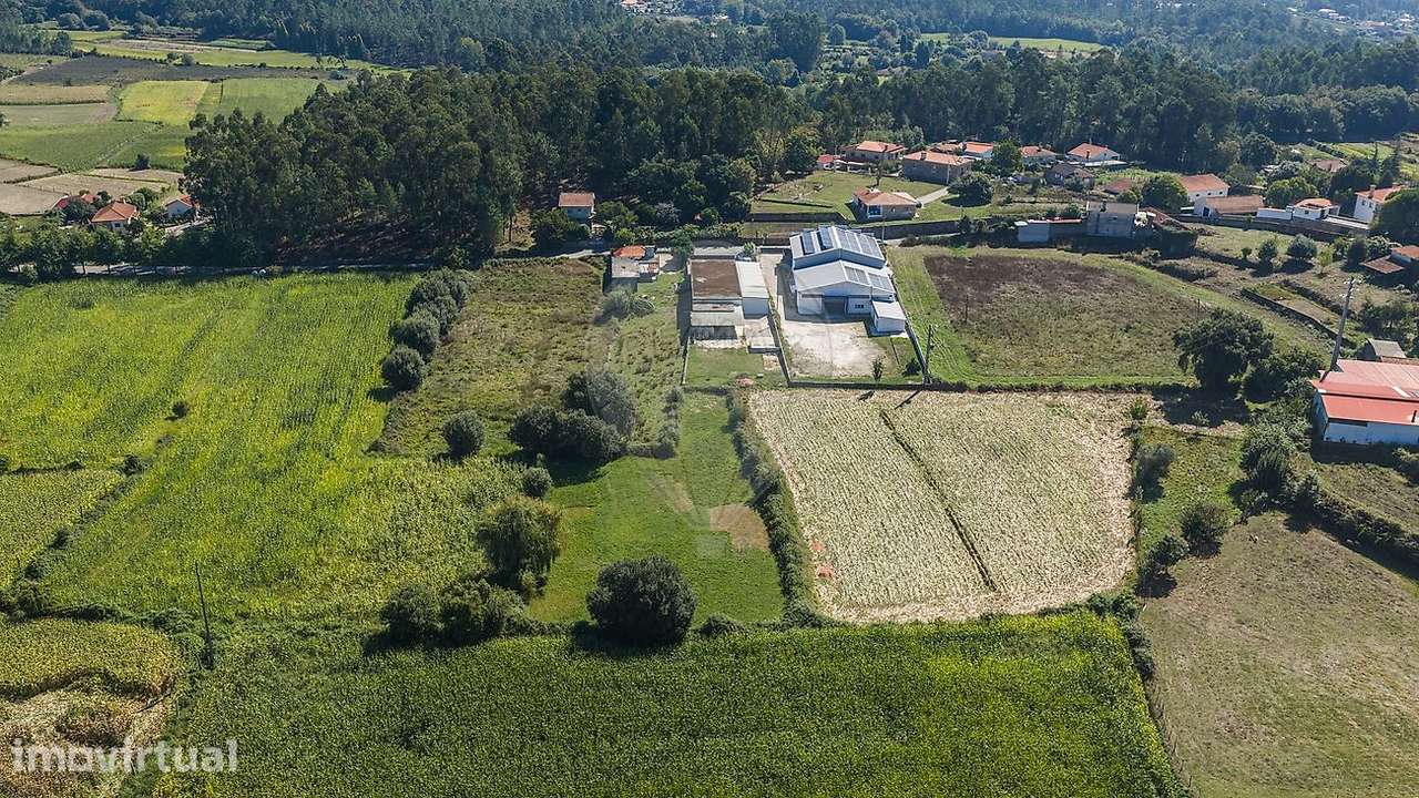 Armazém  para venda - Grande imagem: 4/29