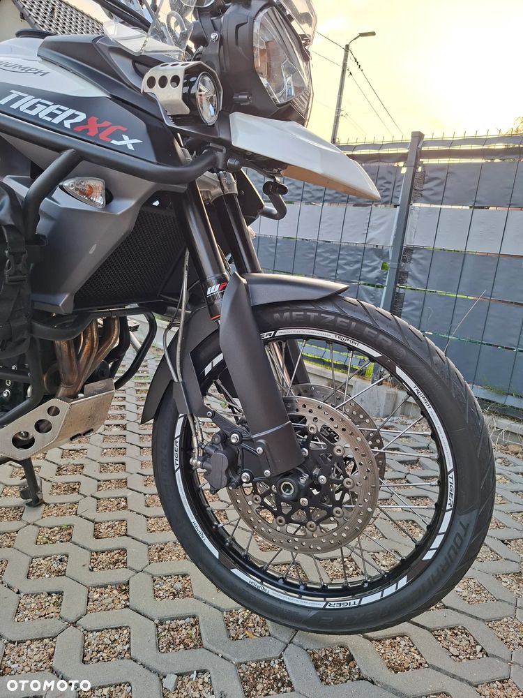 Triumph Tiger - 11
