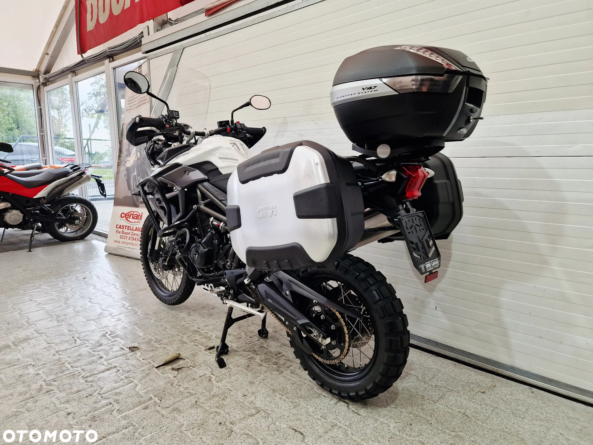 Triumph Tiger - 3