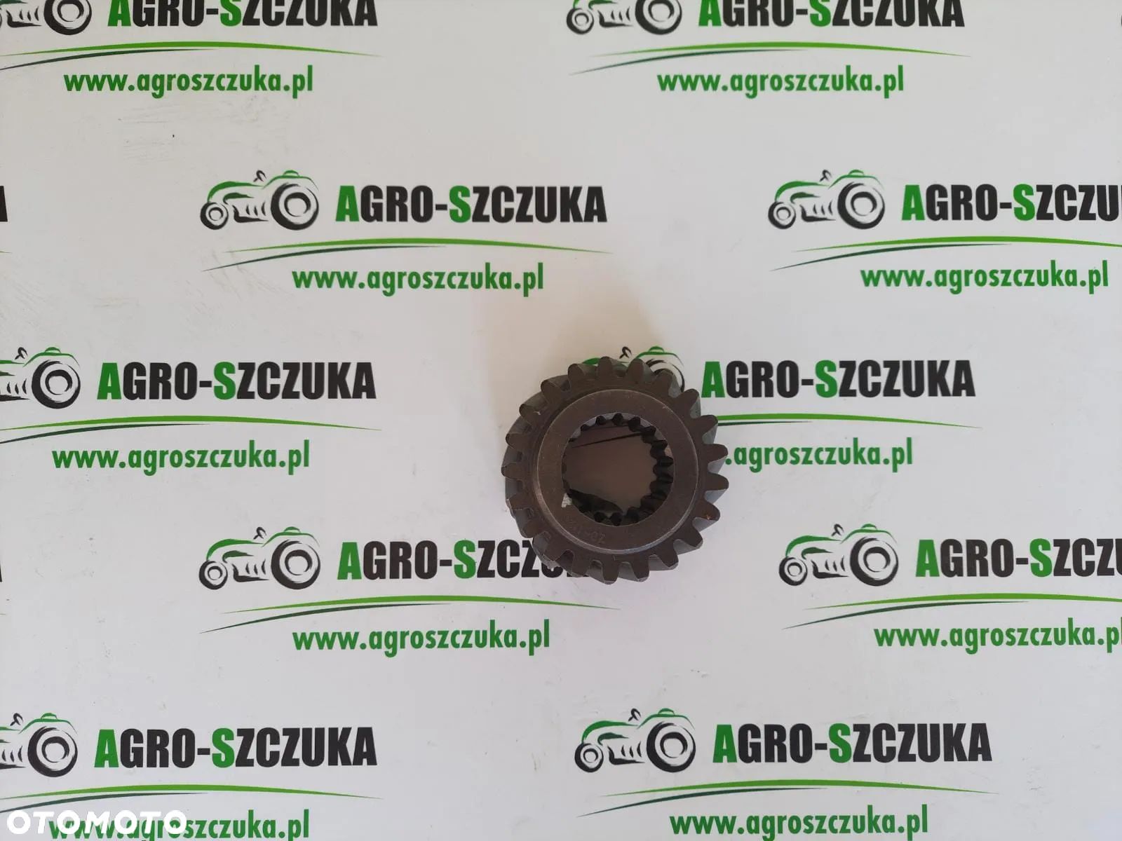 ZĘBATKA SKRZYNI MERLO 024955 - 1