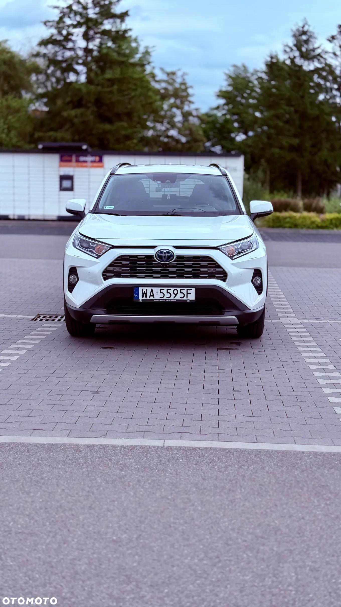 Toyota RAV4 2.5 Hybrid Executive 4x2 - 3