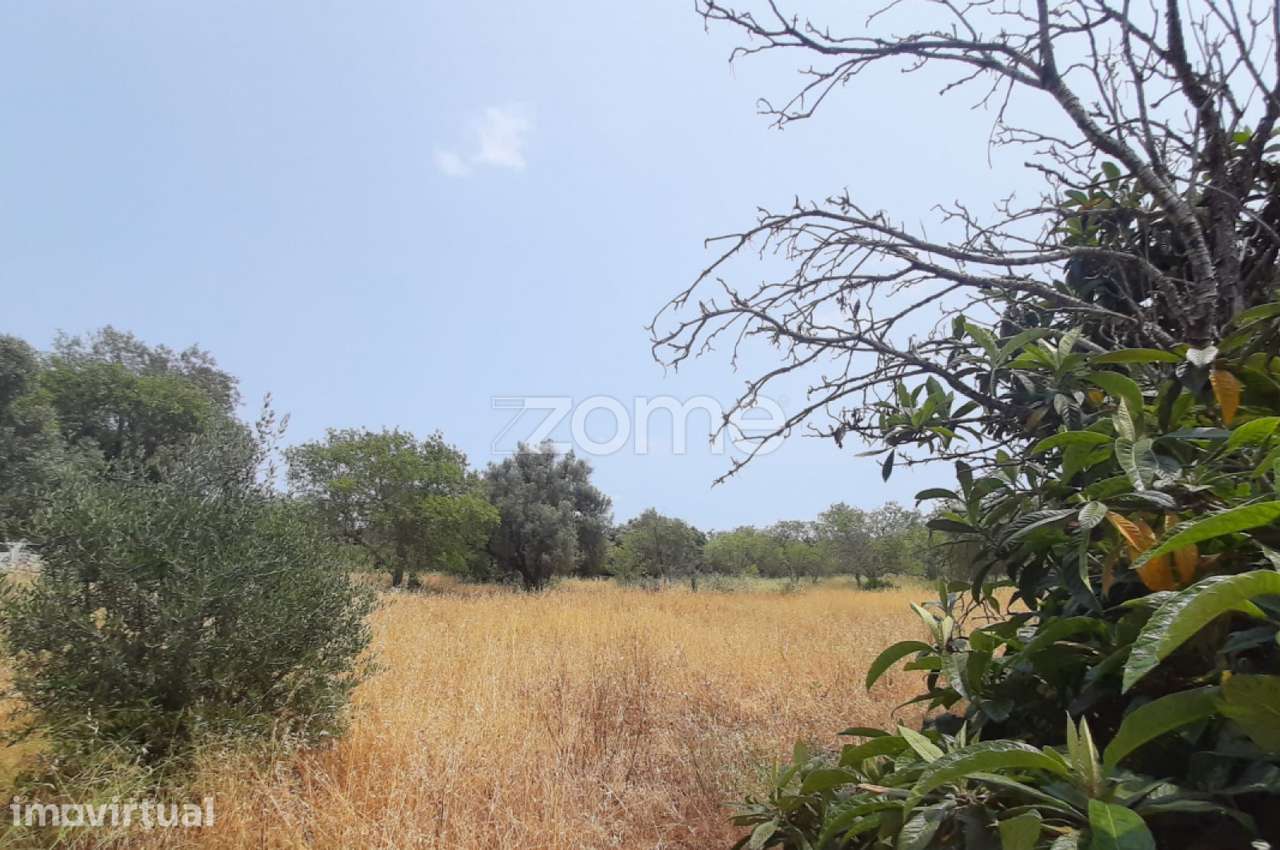 Moradia com terreno com 1ha - Grande imagem: 4/15