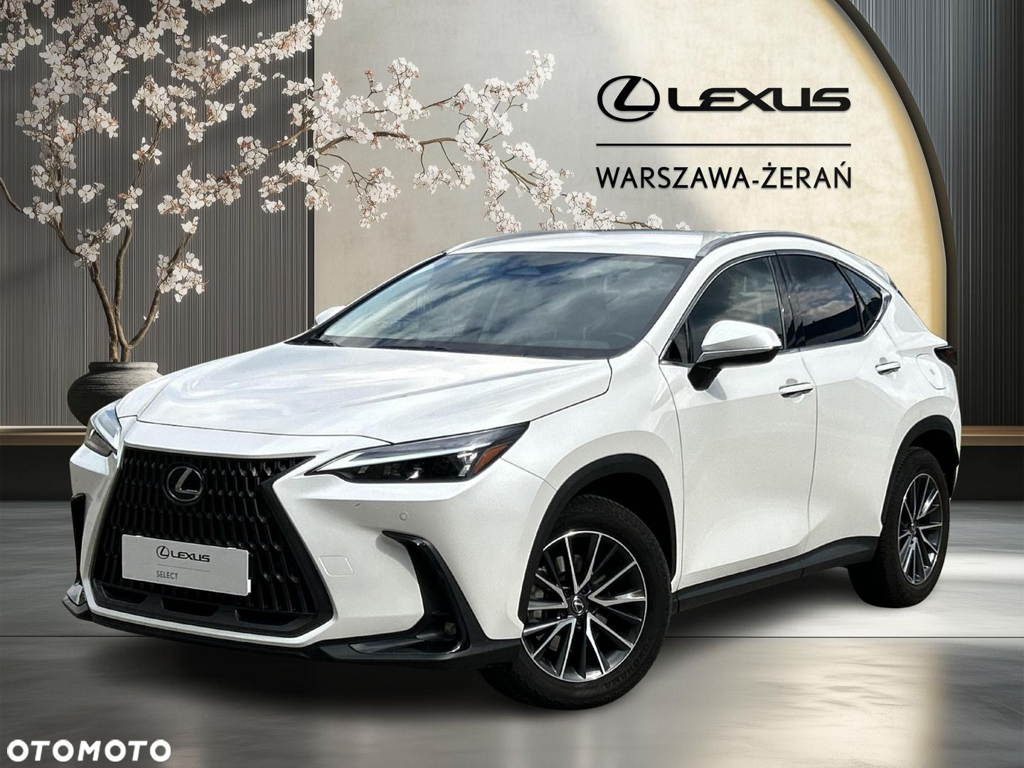 Lexus NX - 2