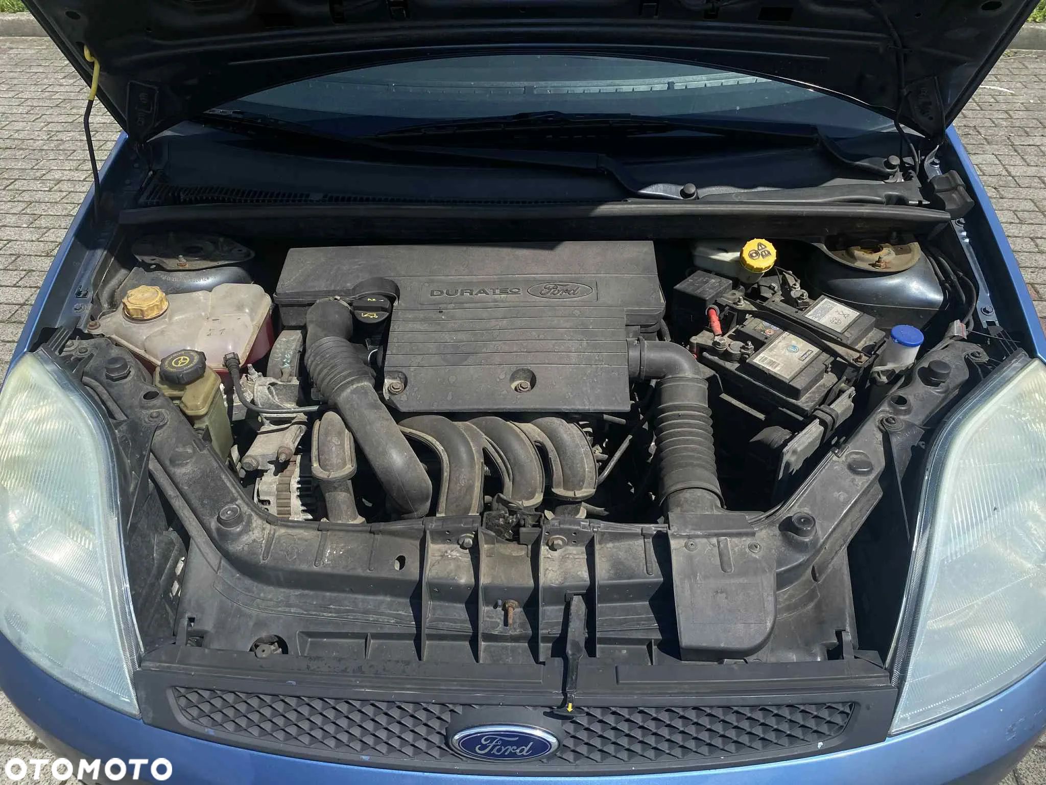 Ford Fiesta - 1