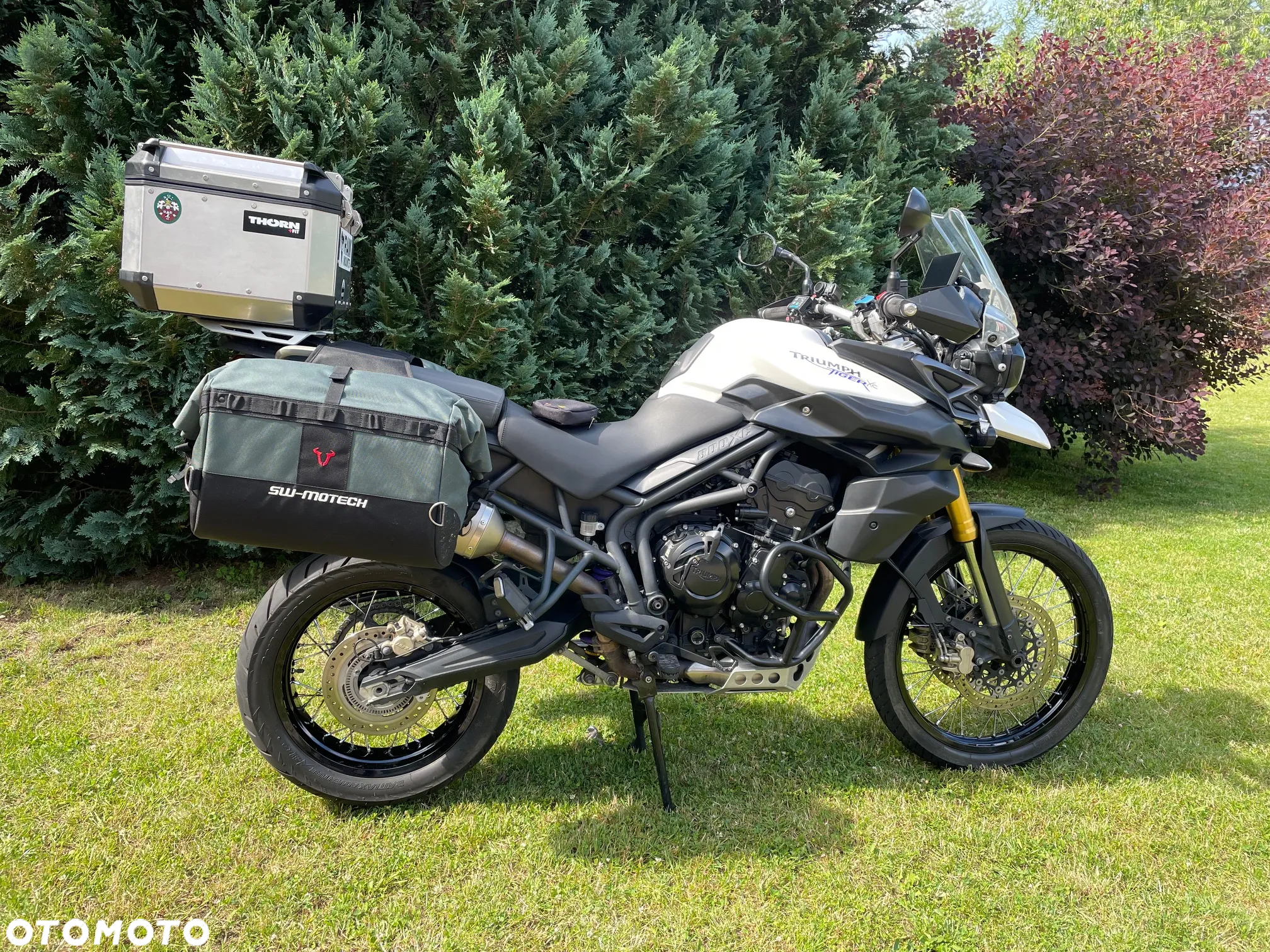 Triumph Tiger - 6
