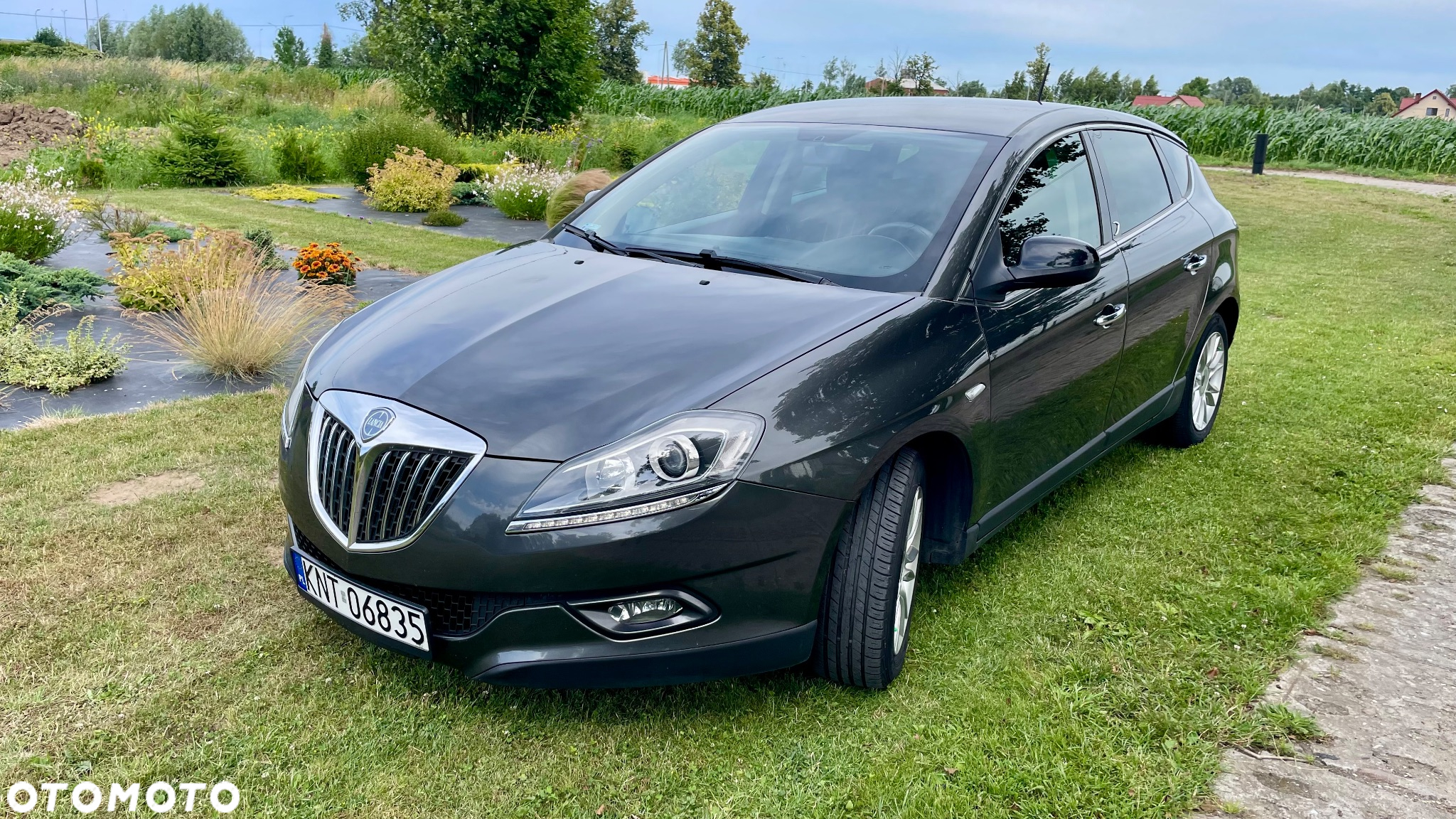 Lancia Delta 1.6 MJ Oro - 4