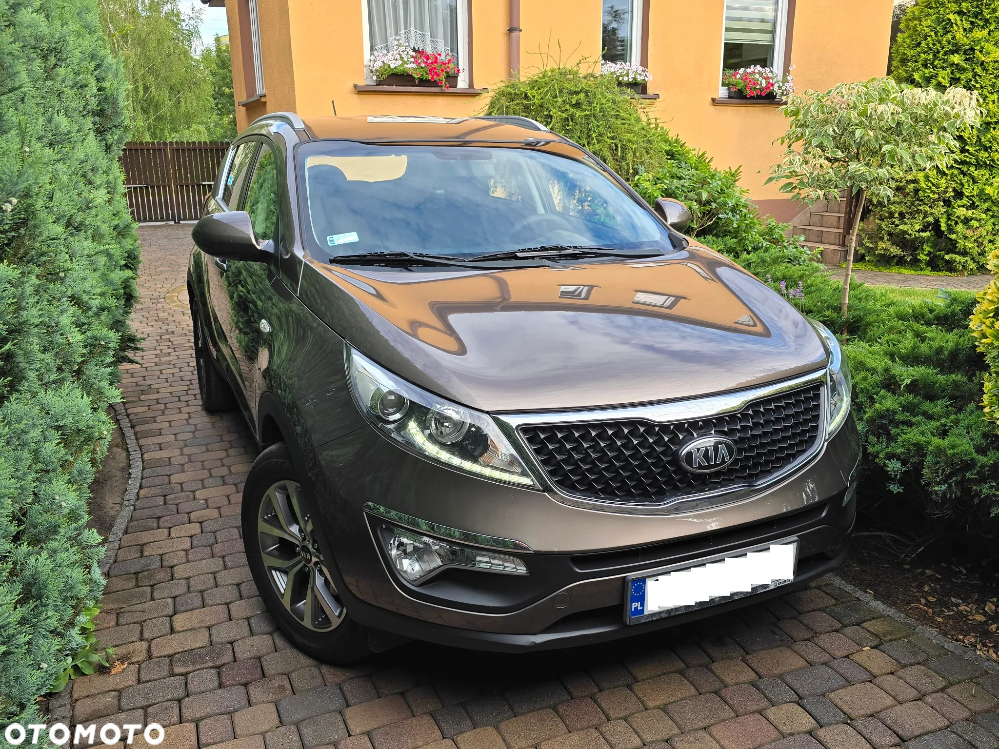 Kia Sportage 1.6 GDI L 2WD - 12