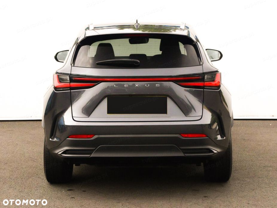 Lexus NX - 6