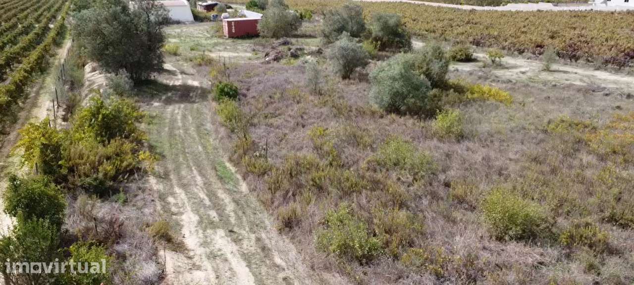 Quinta com 1,5 hectares em Lau, Palmela. - Grande imagem: 2/23