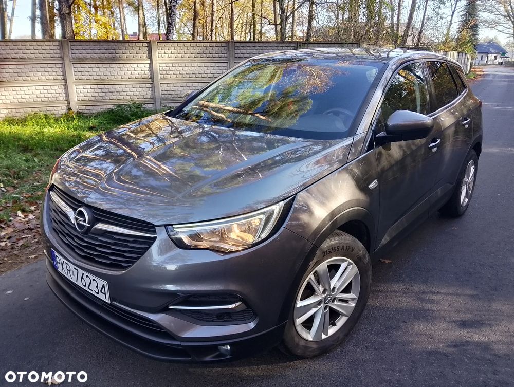 Opel Grandland X - 19
