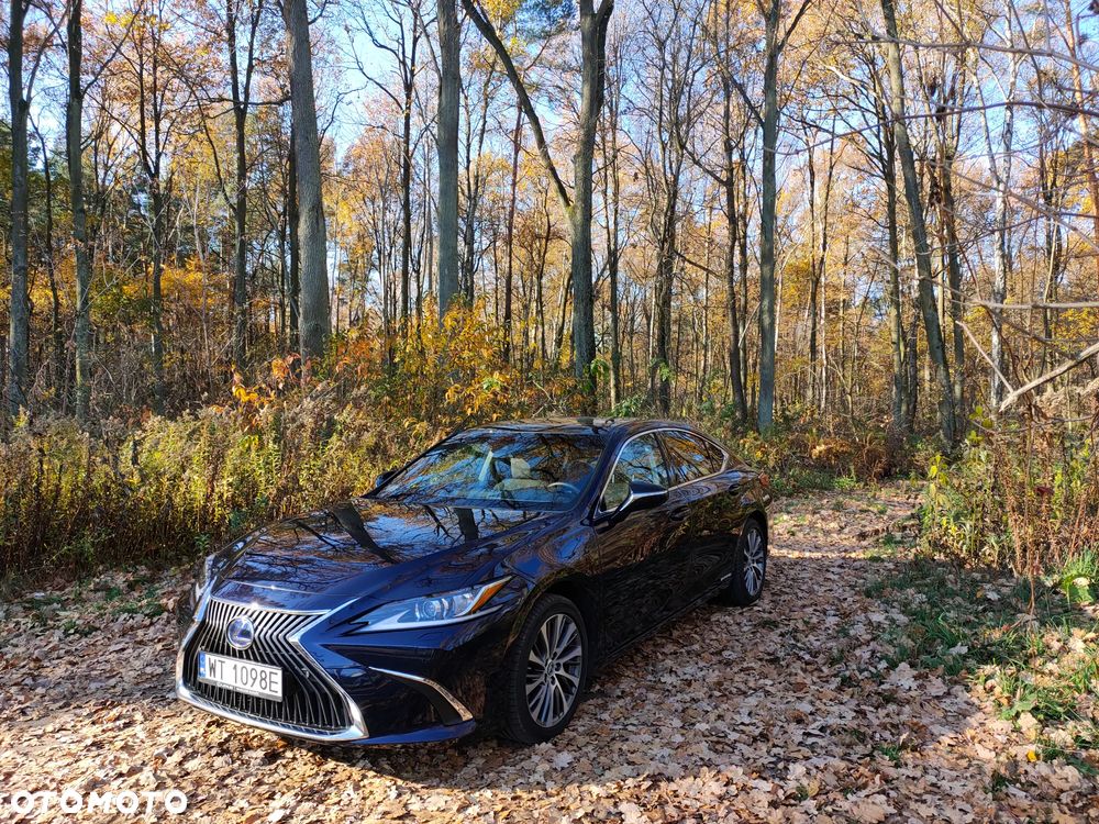 Lexus ES 300h Business Edition + - 9