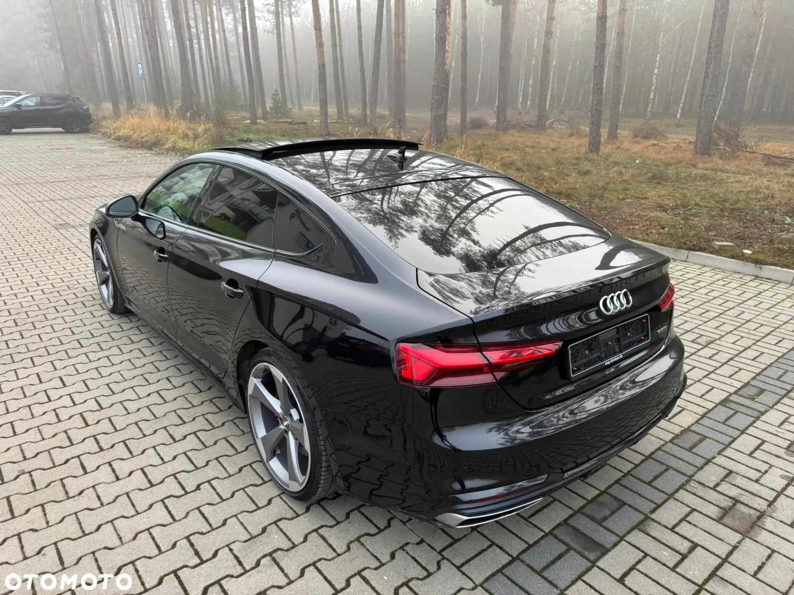 Audi A5 Sportback 3.0 TDI quattro S tronic sport - 5