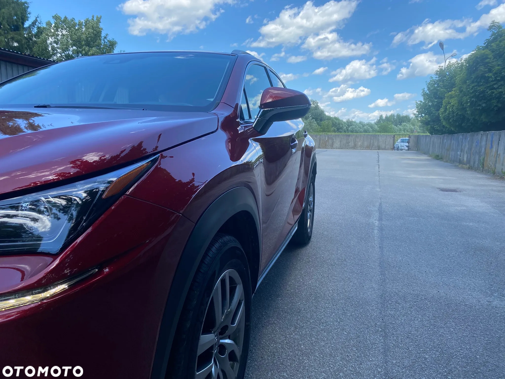 Lexus NX 300h Elegance AWD - 21