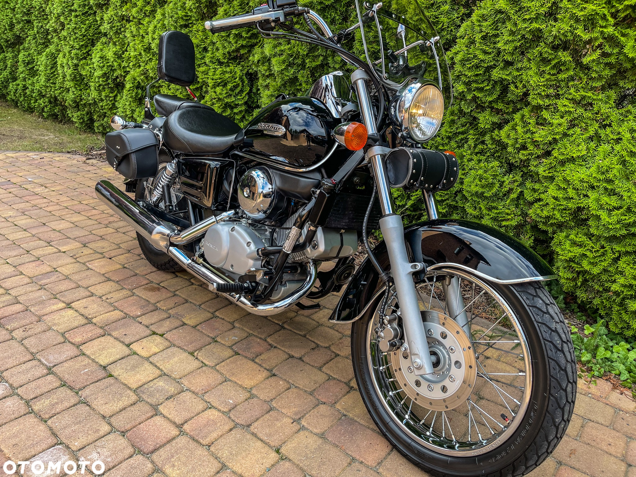 Honda Shadow - 3