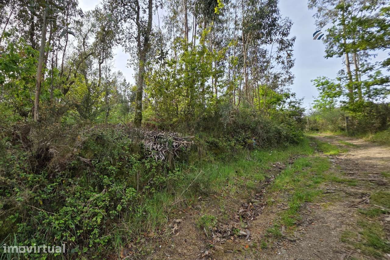 Terreno construção c/ 4000m2 Paço de Sousa, Penafiel - Grande imagem: 2/28