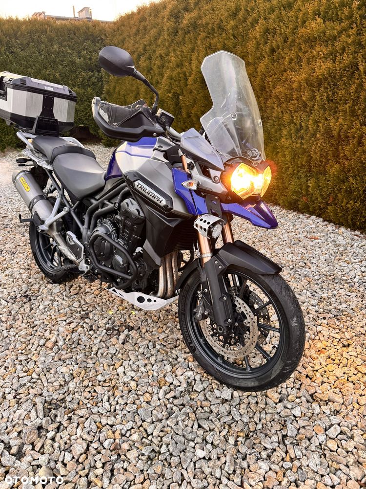 Triumph Tiger - 23