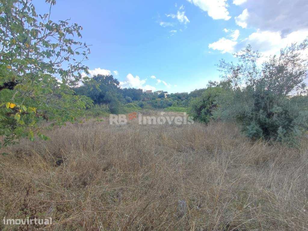 Terreno rústico com 1280m² - Ferreira do Zêzere - Grande imagem: 5/13