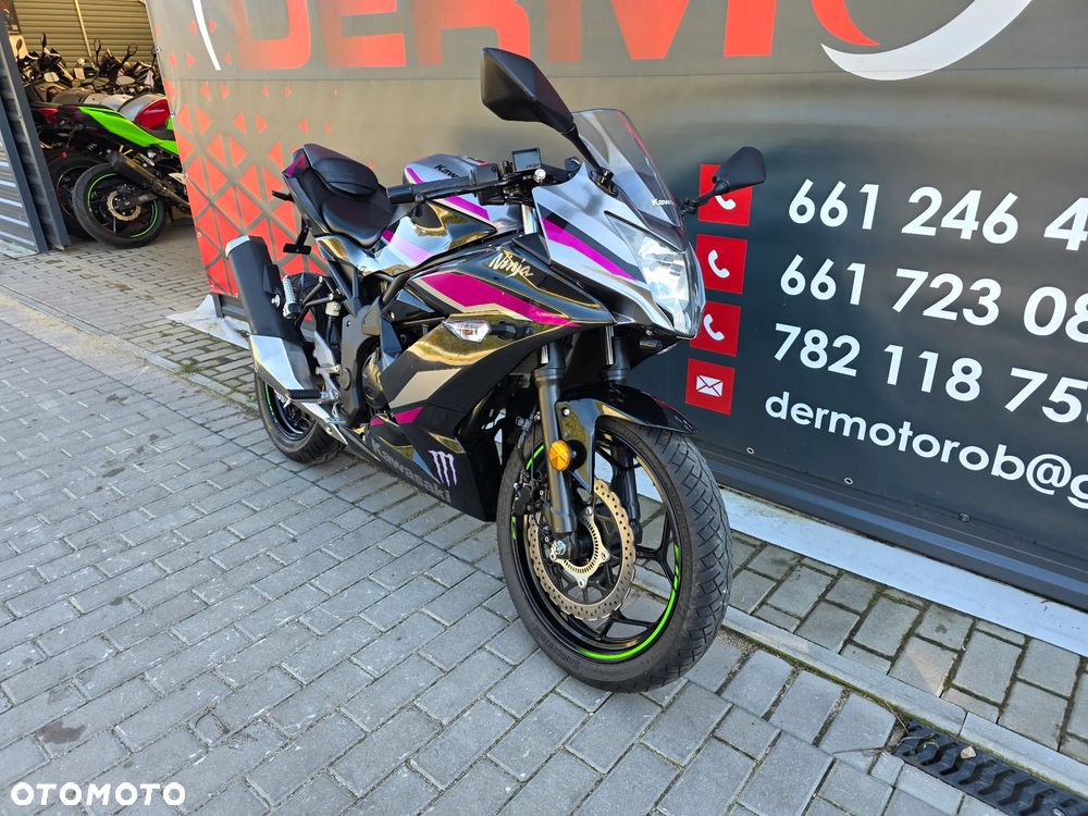 Kawasaki Ninja - 1