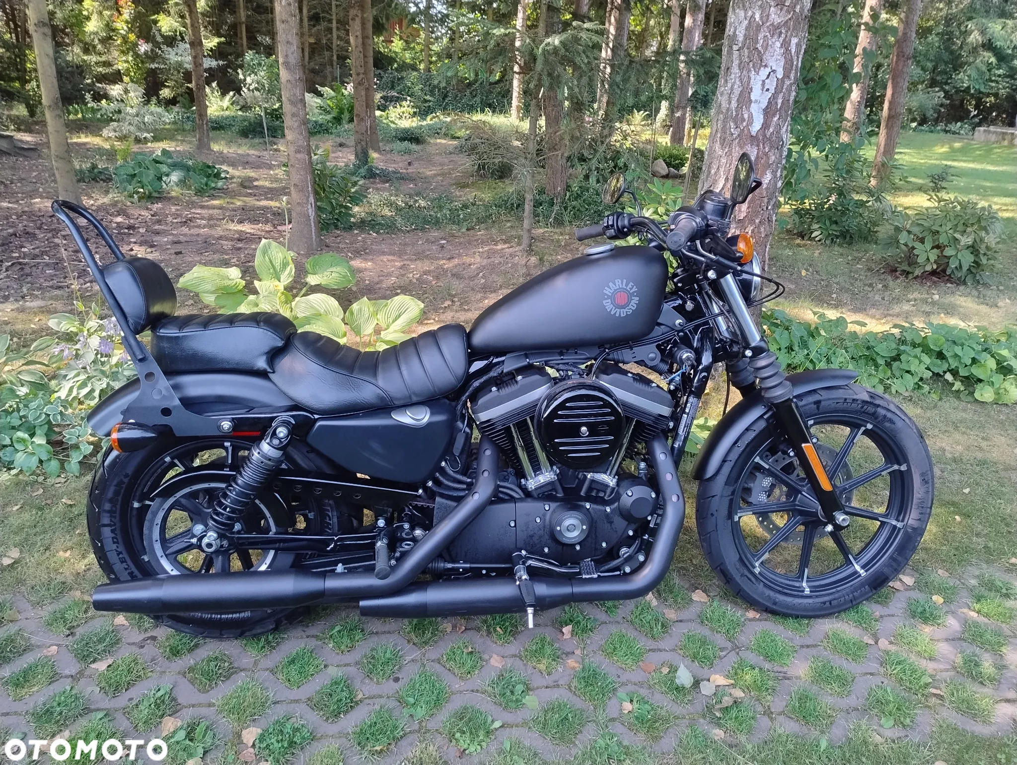 Harley-Davidson Sportster Iron 883 - 8