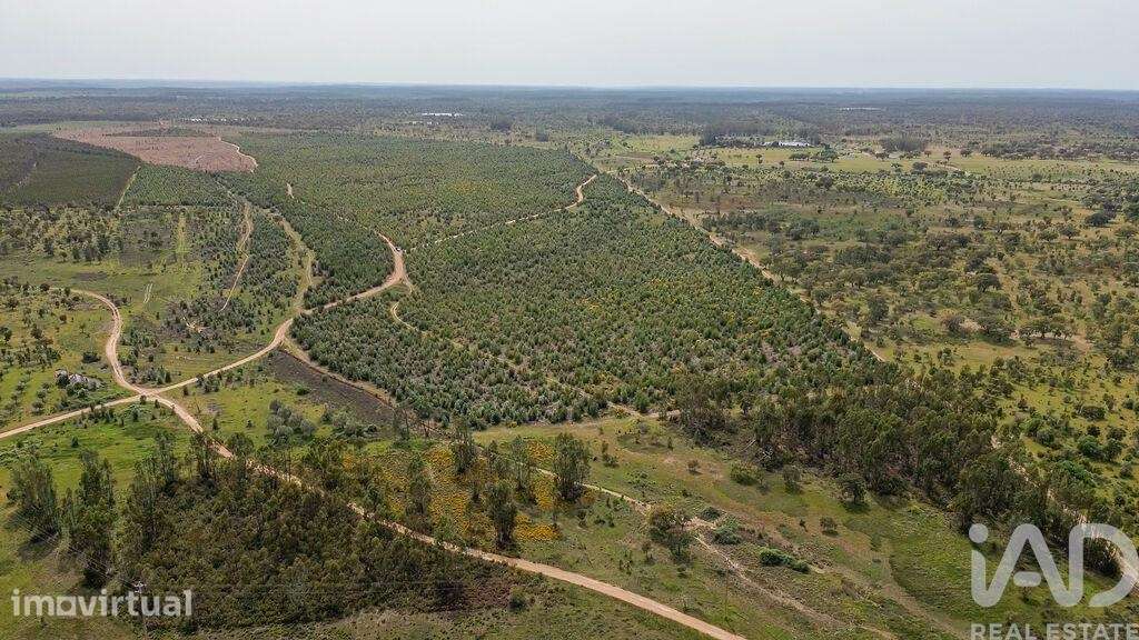 Terreno Agrícola em Bemposta - Grande imagem: 4/31